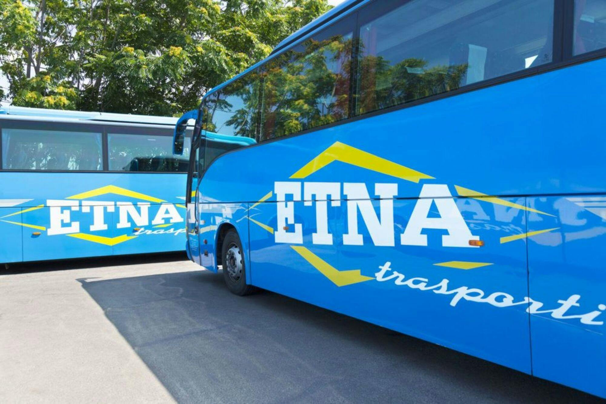 Licata: One-Way Bus Transfer to Catania Fontanarossa Airport from Licata - Photo 1 of 4