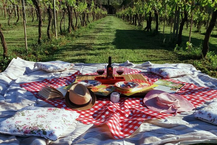 Lucca: self-guided bike tour + picnic in the vineyards - Photo 1 of 5