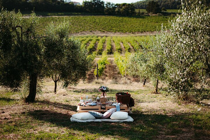 Indulge in a serene picnic amidst Tuscany's lush vineyards savoring exquisite local cuisine and fine wines while creating cherished moments with loved ones in this picturesque setting.