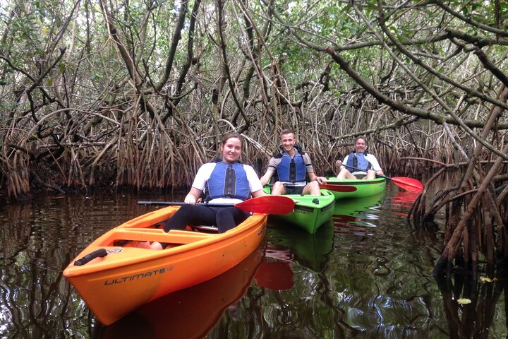 Marco Island Mangrove Tunnel and Maze Adventure Small group size - Photo 1 of 8