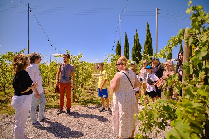 Medieval Gems of Tuscany: Siena, San Gimignano & Monteriggioni - Photo 1 of 25