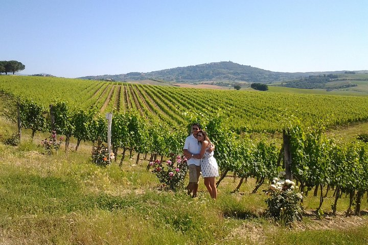 full day Brunello tour 