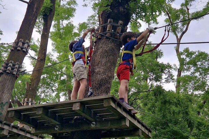 Adventure park among the trees in Milan