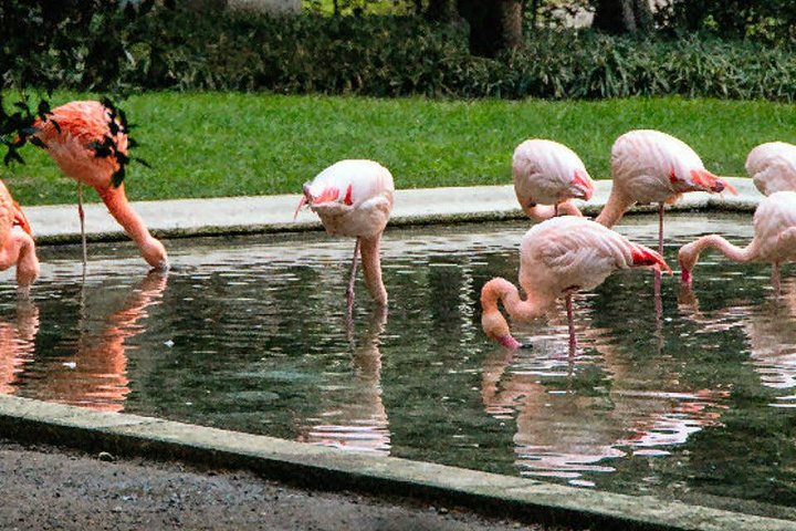 The Secret Milan - An Exclusive Stroll Beyond the Beaten Path - Photo 1 of 8