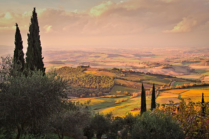 Montalcino and Pienza Tour from Rome - Photo 1 of 14
