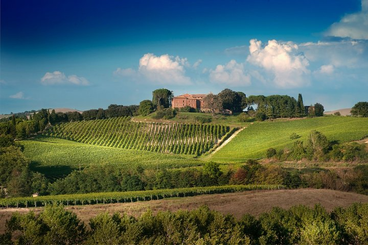 Montalcino: Brunello Wine Tasting Experience - Photo 1 of 6