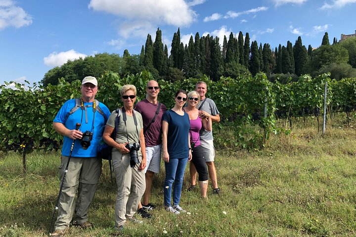 Montepulciano wine tour with a sommelier - Photo 1 of 6
