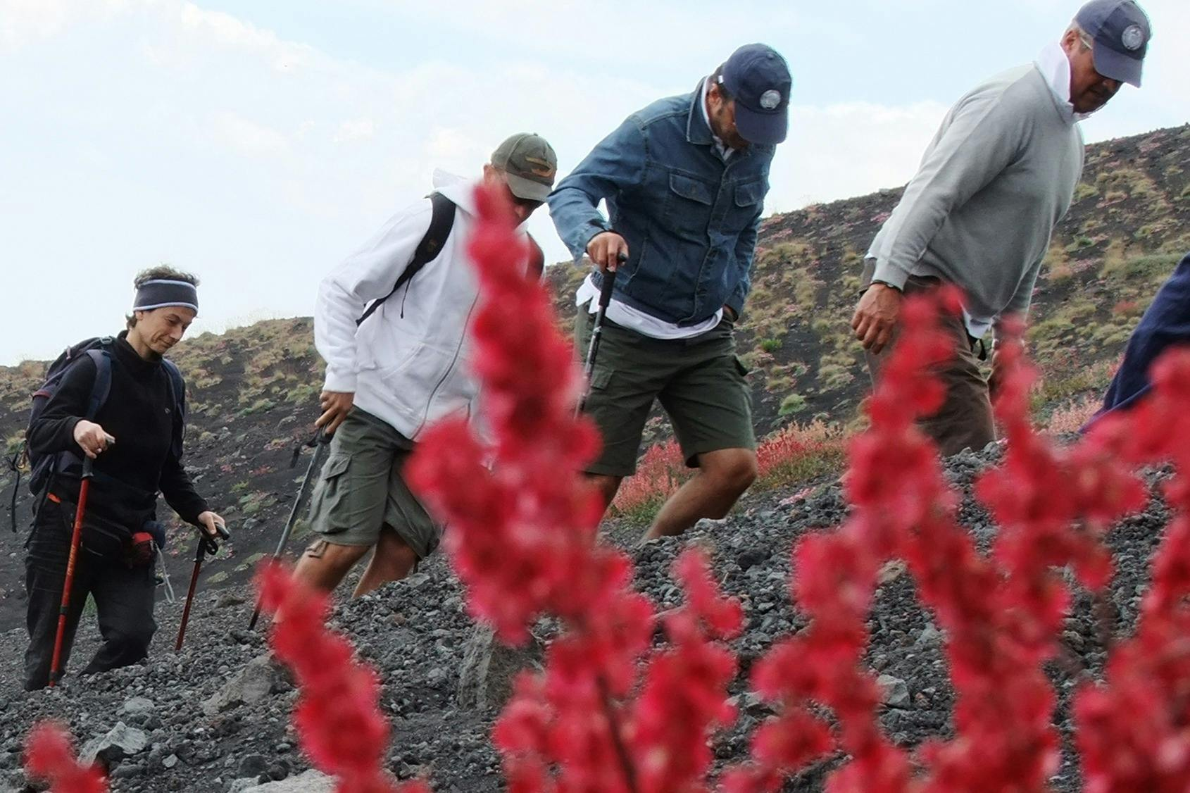 Mount Etna: Excursion from Catania - Photo 1 of 9