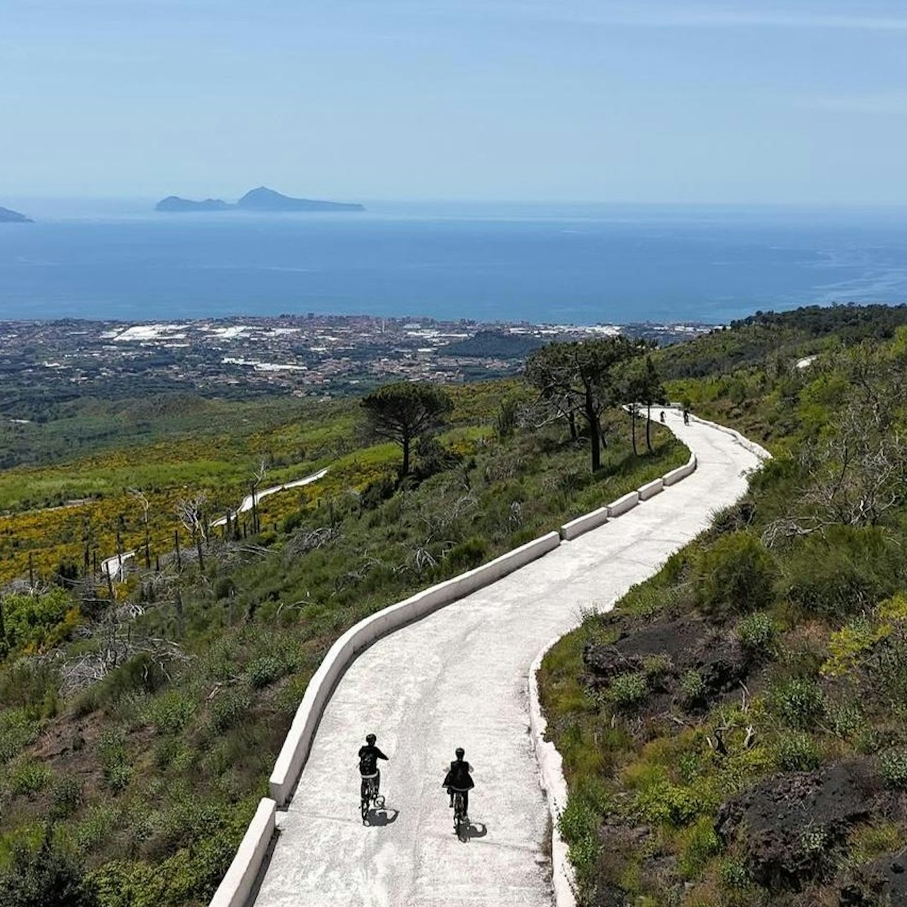 Mount Vesuvius: Skip The Line Ticket + Bike Tour + Roundtrip Train from Naples - Photo 1 of 5