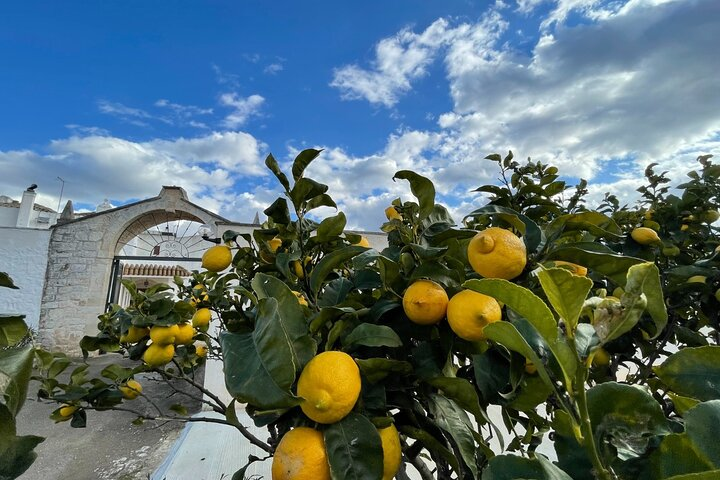 Mozzarella Experience  - Photo 1 of 13