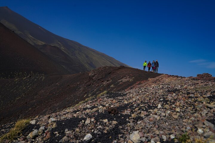 Mt. Etna nature and flavors half day Tour from Catania - Photo 1 of 11