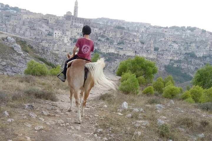Murgia Park: Horse riding tour - Photo 1 of 6