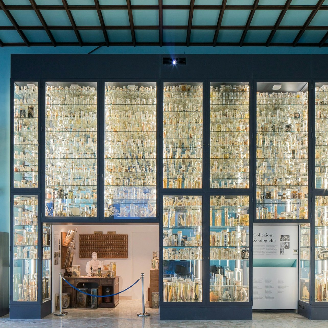 Museum Darwin-Dohrn - Photo 1 of 3