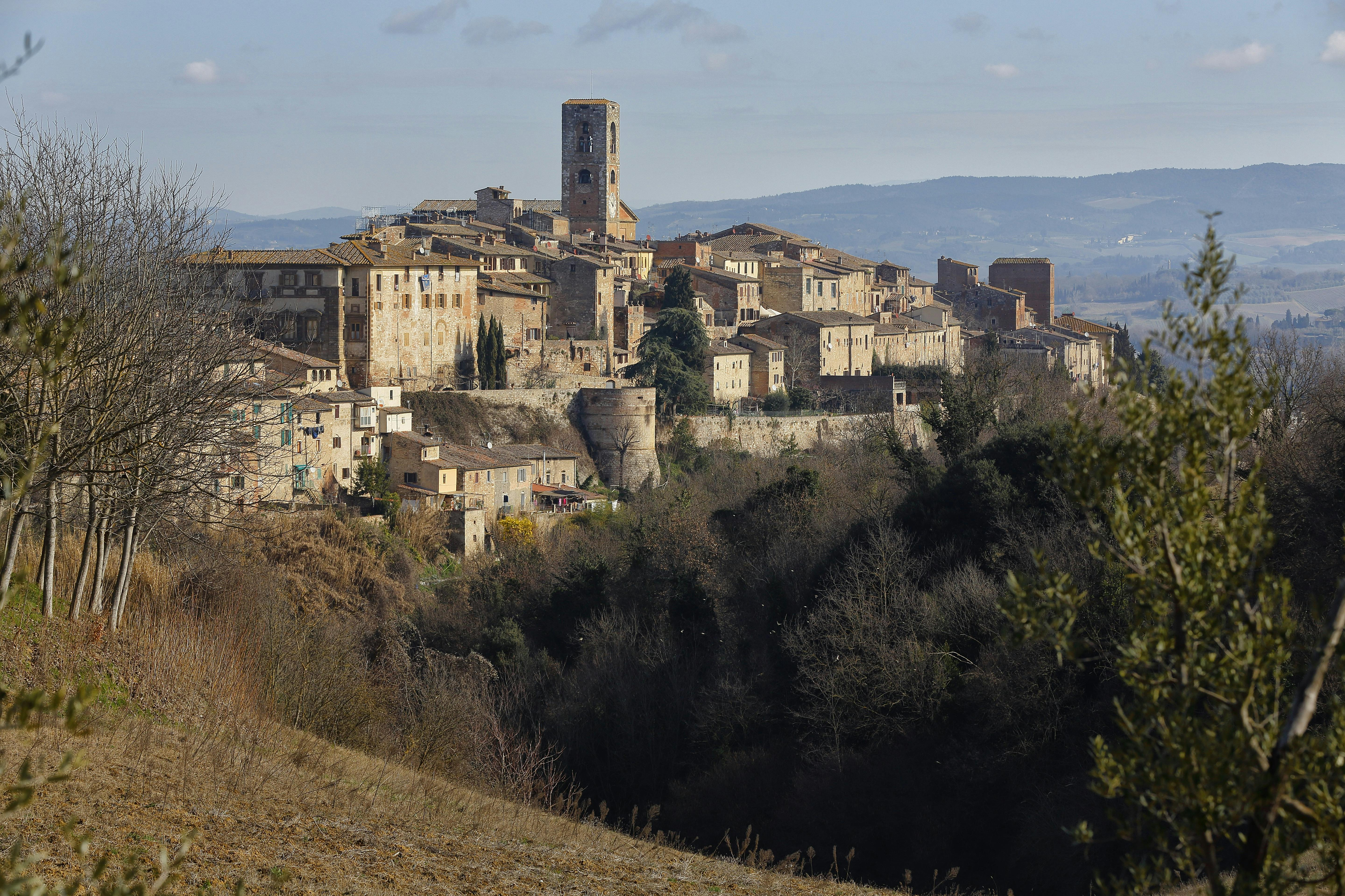 Museum of San Pietro in Colle Val d'Elsa - Photo 1 of 4