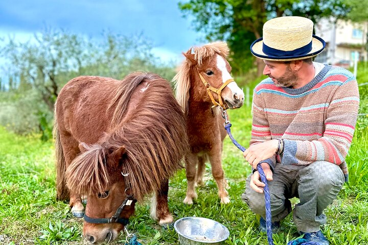 Horses born on the farm