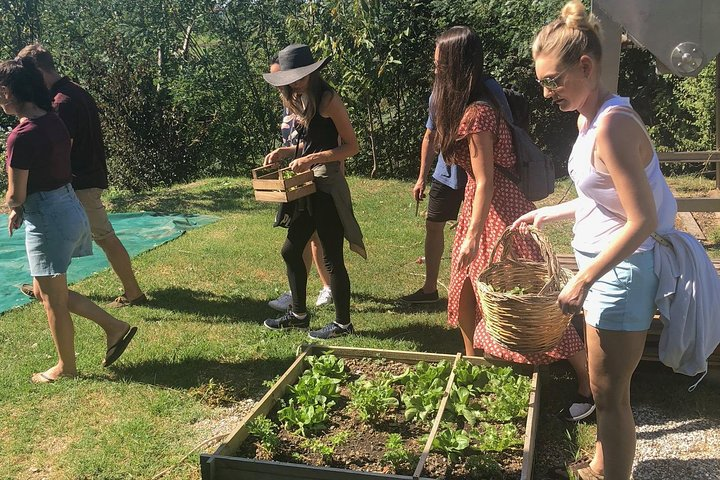 My Tuscan Farm - Three Experiences in One Day  - Photo 1 of 14