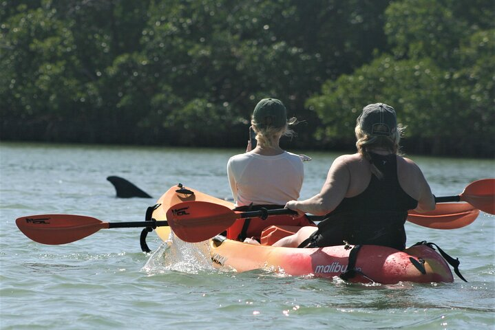 Paddling with the dolphins at Wiggins Pass in Naples.