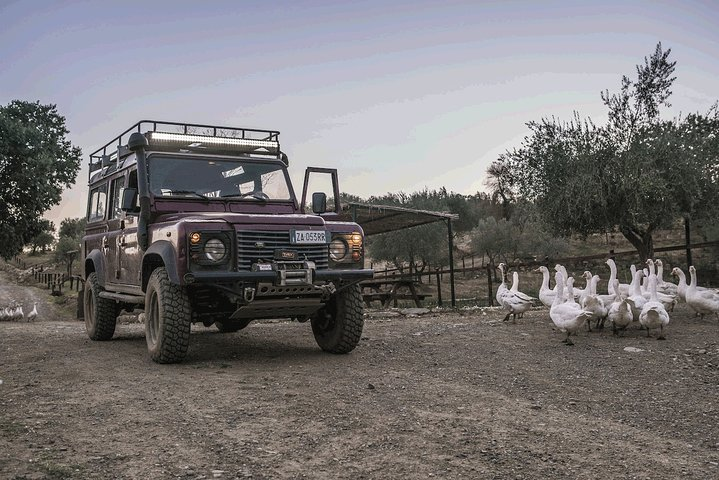 Night safari and aperitif near Florence - Photo 1 of 4