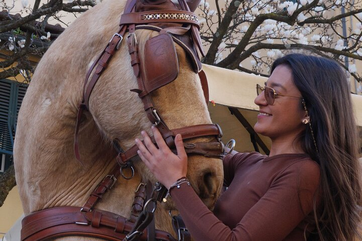 One-hour tour through the historic center and half Renaissance walls - Photo 1 of 4