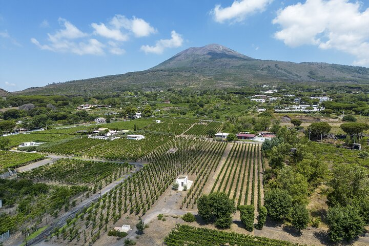 Organic Wine Tasting & Lunch Experience on Mt Vesuvius - Photo 1 of 12