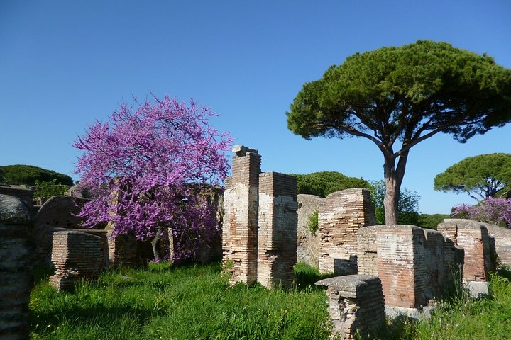 Ostia Antica Private Guided Tour with Optional Transfer from Rome - Photo 1 of 6