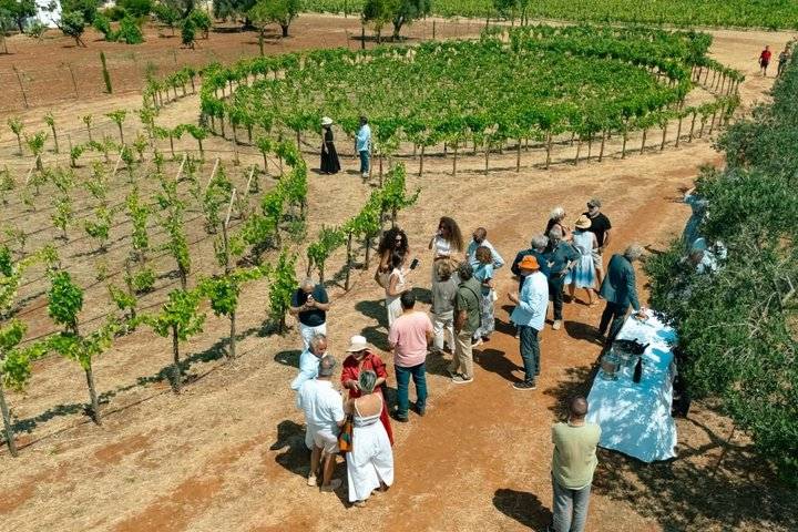 Ostuni DOC winetour and tasting. - Photo 1 of 14