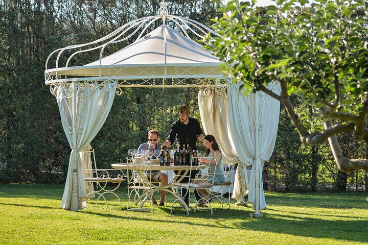 Tuscan Lunch and Wine Tasting in San Gimignano Winery - Photo 1 of 6