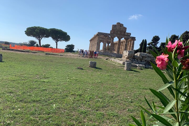Paestum Private Tour from Naples - Photo 1 of 2