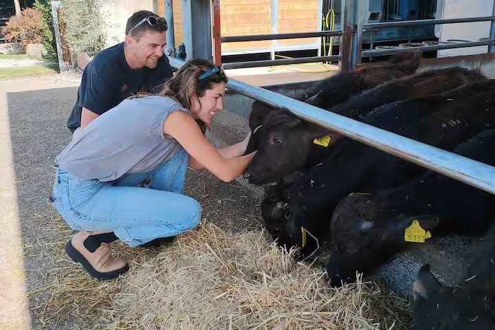 Paestum Traditions, Buffaloes, Ceramics, Temples - Photo 1 of 22