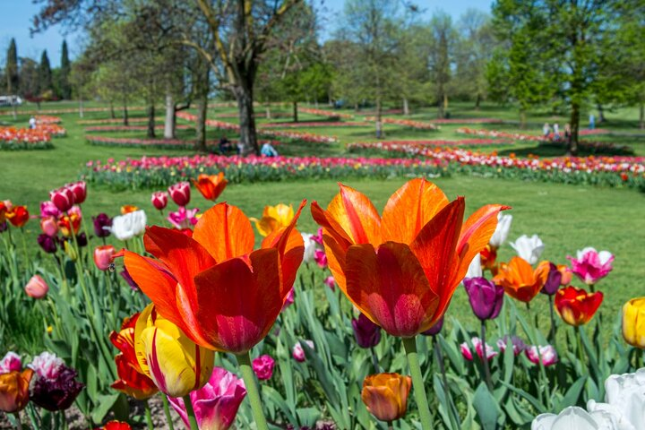 Parco Giardino Sigurtà Admission Tickets - Photo 1 of 9