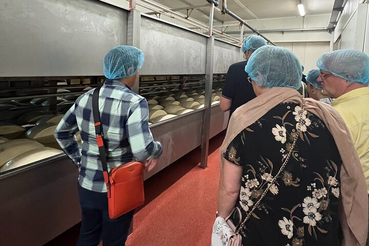 Parmesan, Wine, Balsamic Full Day Tour with Lunch - Photo 1 of 6