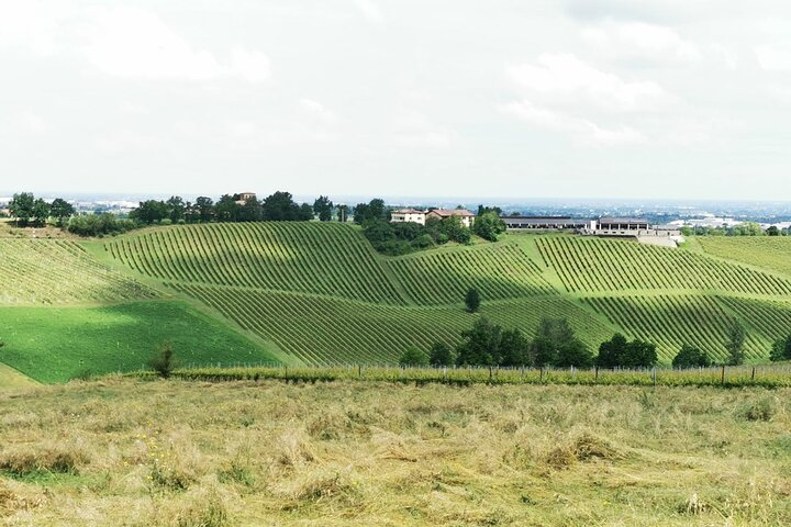 Parmigiano Reggiano, Balsamic Vinegar and fresh pasta tour - Photo 1 of 8