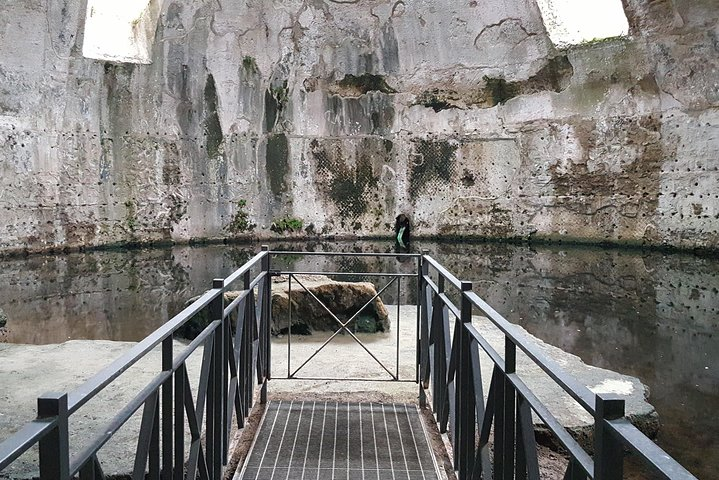 Phlegrean Fields highlights with lunch - Photo 1 of 3