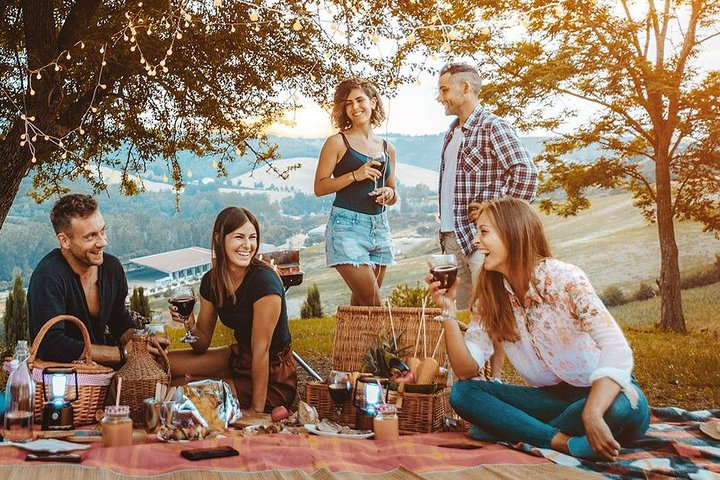 Picnic in the countryside in the heart of Chianti - Photo 1 of 6