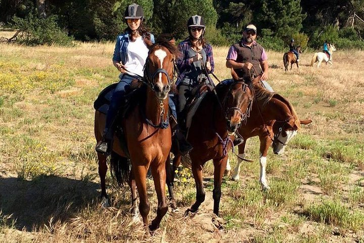 Rome : Horseback Riding with meals and wine included - Photo 1 of 20