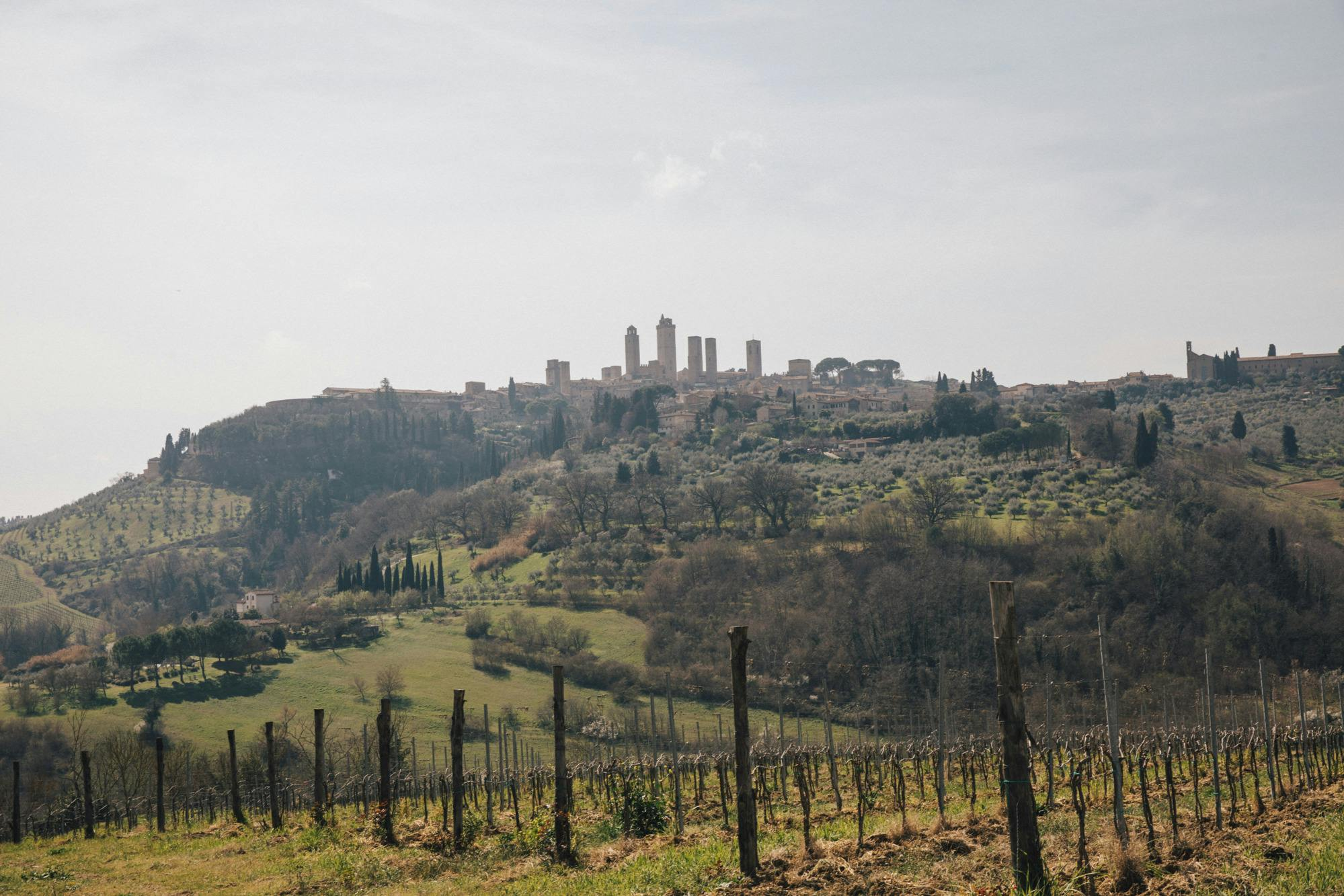 Pisa, Siena, San Gimignano & Chianti: Full-Day Tour from Florence - Photo 1 of 8