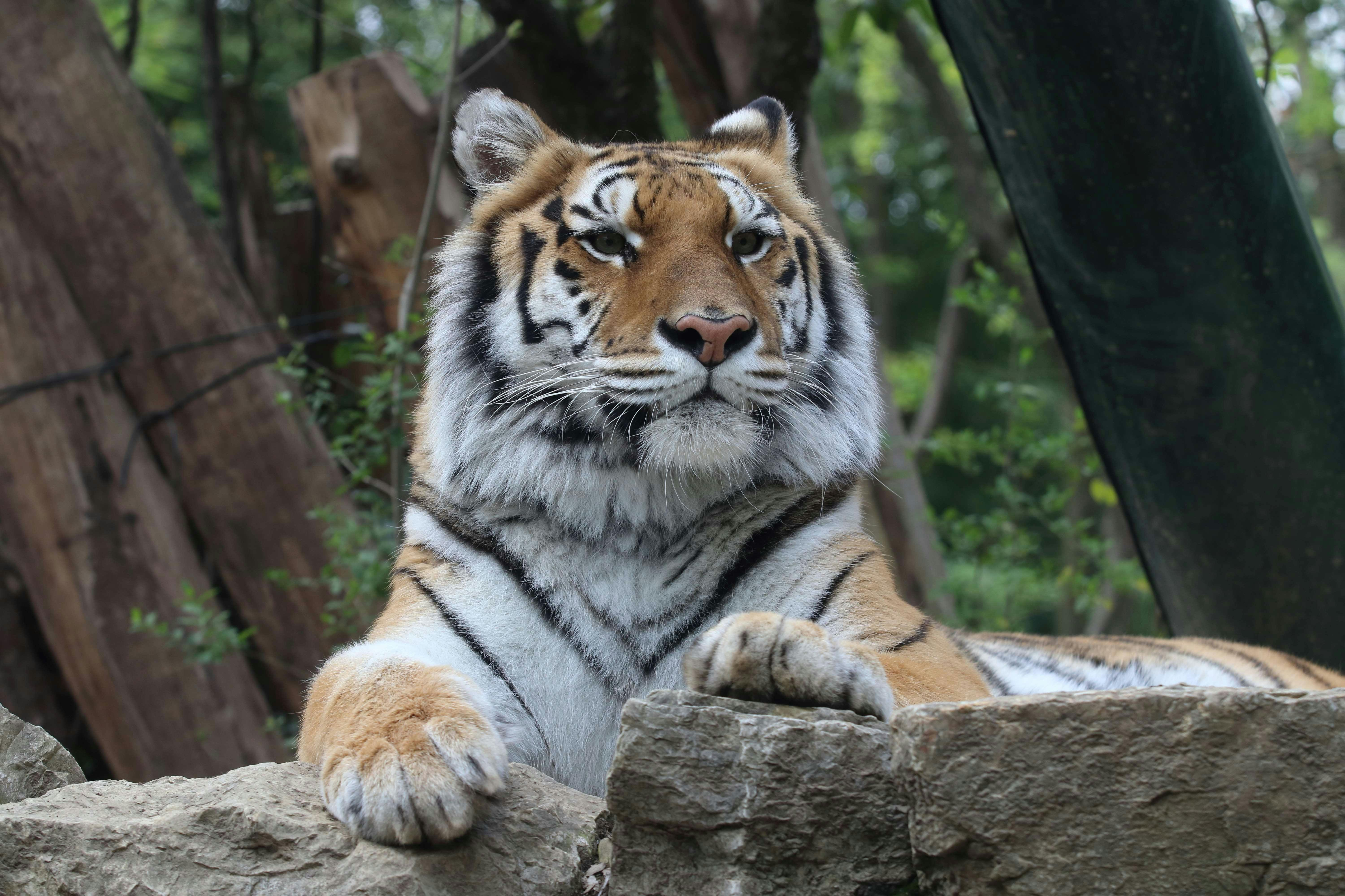 Pistoia Zoological Garden: Entry Ticket - Photo 1 of 6