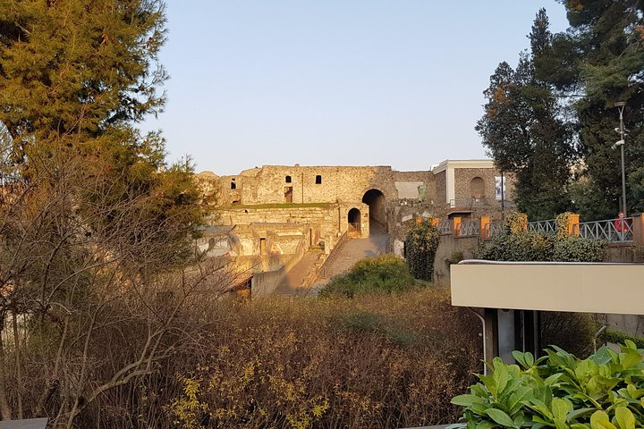 Pompeii & Herculaneum Guided Tour w/ Driver & Minivan + English-Speaking guide - Photo 1 of 5