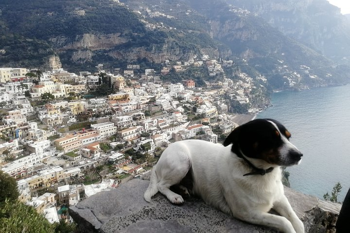 Pompeii, Positano, Sorrento full day with Pompeii guide bookable - Photo 1 of 8