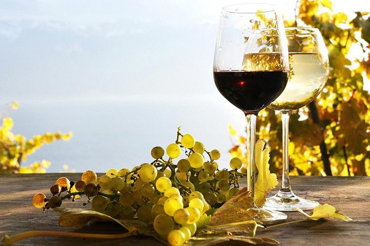 Pompeii & Wine Tour from Sorrento (tickets & lunch not included) - Photo 1 of 12