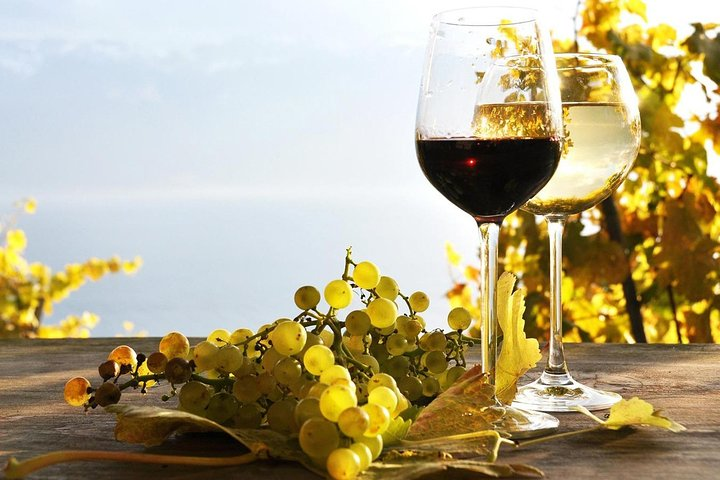 Pompeii & Wine Tour from Sorrento (tickets & lunch not included) - Photo 1 of 6