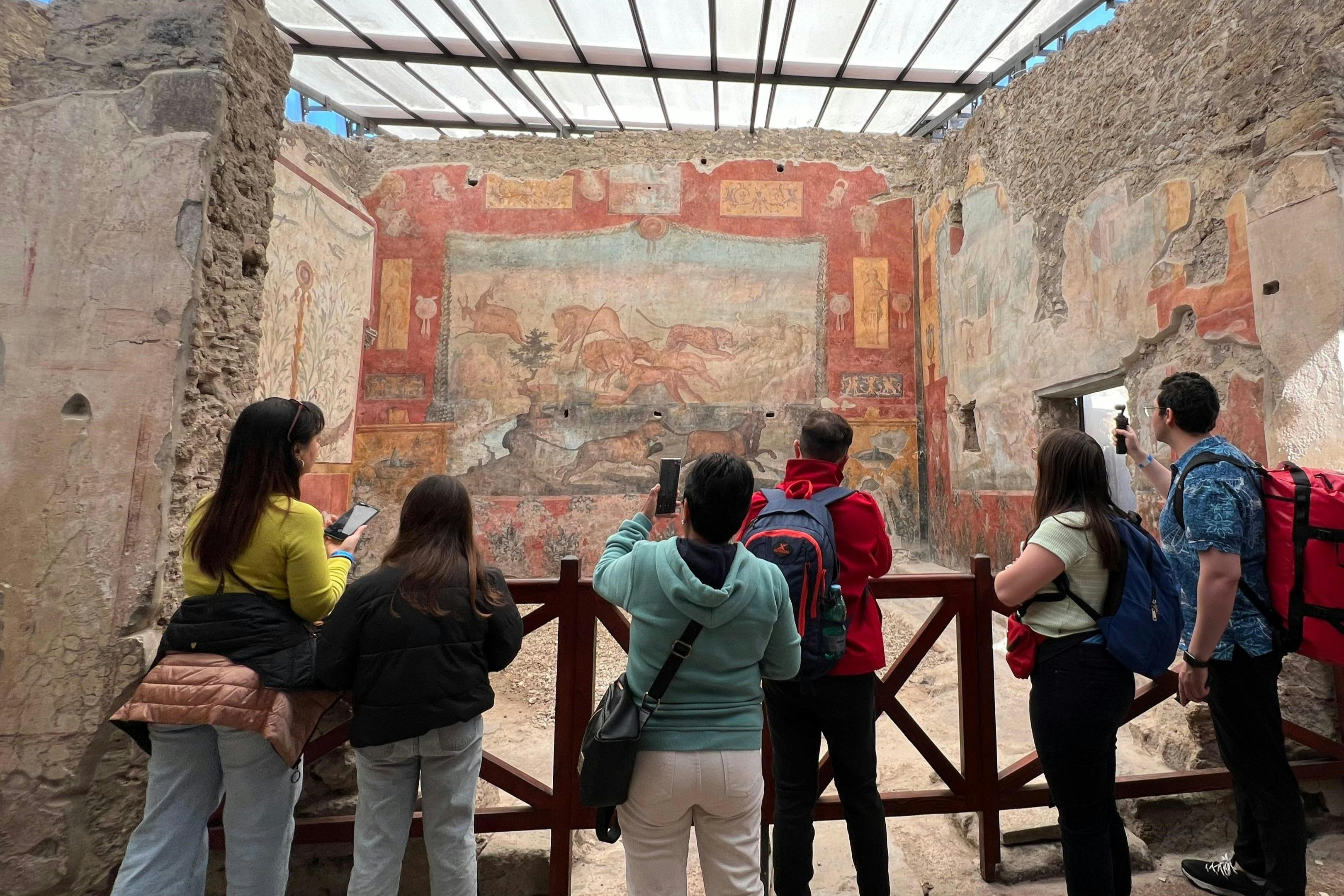 Pompeii: Skip The Line Entry Ticket + Guided Tour from Naples - Photo 1 of 4