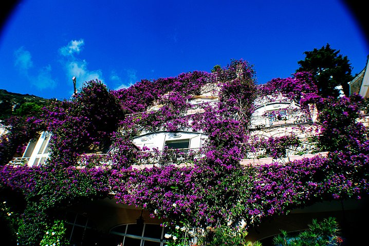 Private Pompeii, Sorrento & Mozzarella Making Tour from Naples - Photo 1 of 13