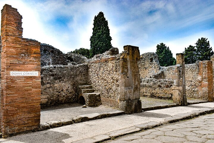 private and Guided Tour to Pompeii from Positano - Photo 1 of 8