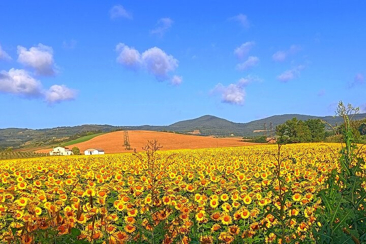 (Original photo of our tours