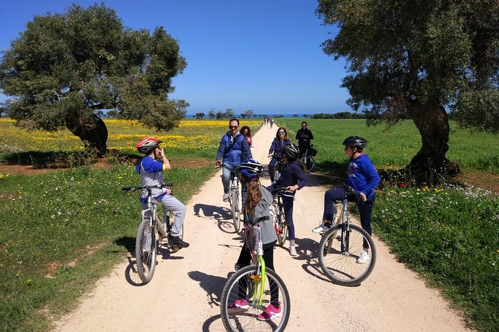 Private Bike Tour with Olive Oil Tasting - Photo 1 of 9