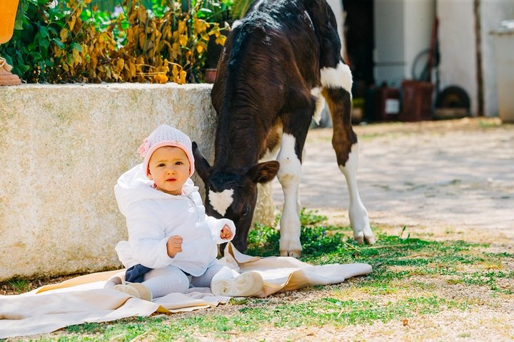 Private Cheese Making Tour in Valle d'Itria with Tastings - Photo 1 of 5