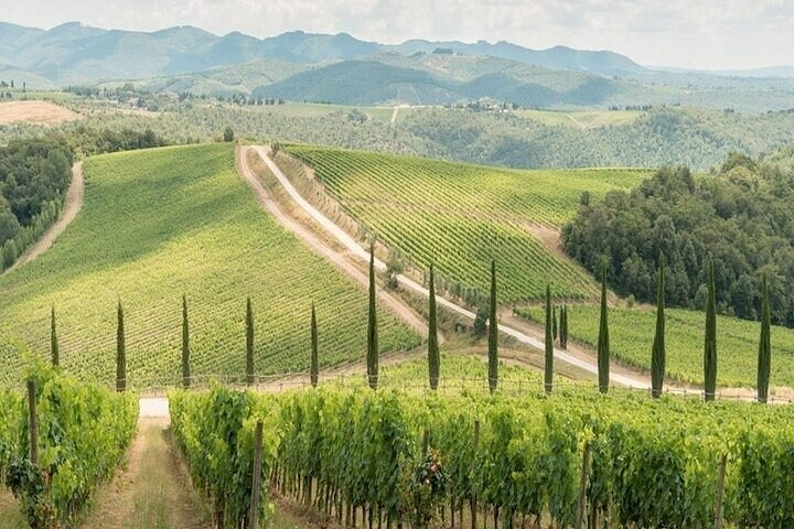 Private Chianti Winery Tour from Livorno with pick up and drop off - Photo 1 of 7