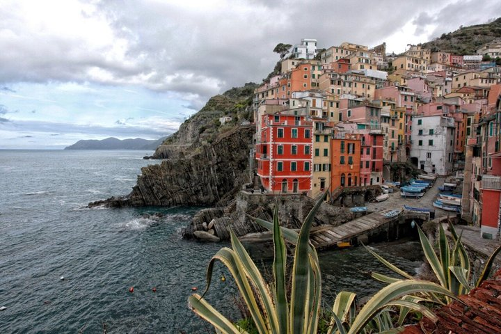 Private Cinque Terre Trek & Tour - Photo 1 of 11