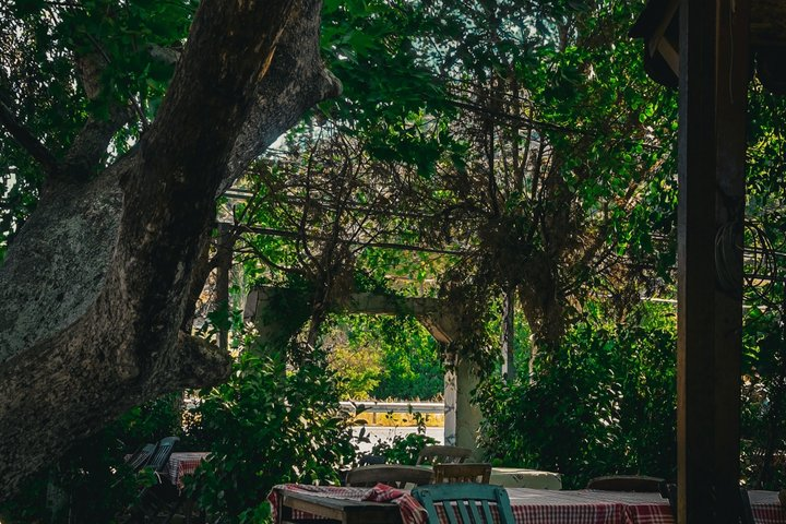 Handmade Pasta Masterclass: Naples Rooftop or Secret Garden - Photo 1 of 22